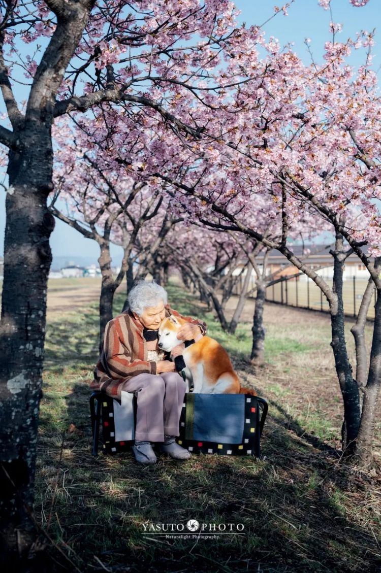 第279期:日本将征单身税?任天堂起诉特朗普?富士山再发登山事故;吴彦祖接替木村拓哉?| 百通板 第279期:日本将征单身税?任天堂起诉特朗普?富士山再发登山事故;吴彦祖接替木村拓哉?| 百通板