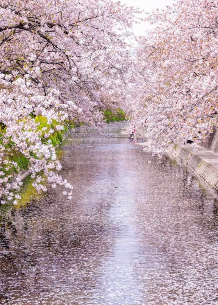 第279期:日本将征单身税?任天堂起诉特朗普?富士山再发登山事故;吴彦祖接替木村拓哉?| 百通板 第279期:日本将征单身税?任天堂起诉特朗普?富士山再发登山事故;吴彦祖接替木村拓哉?| 百通板