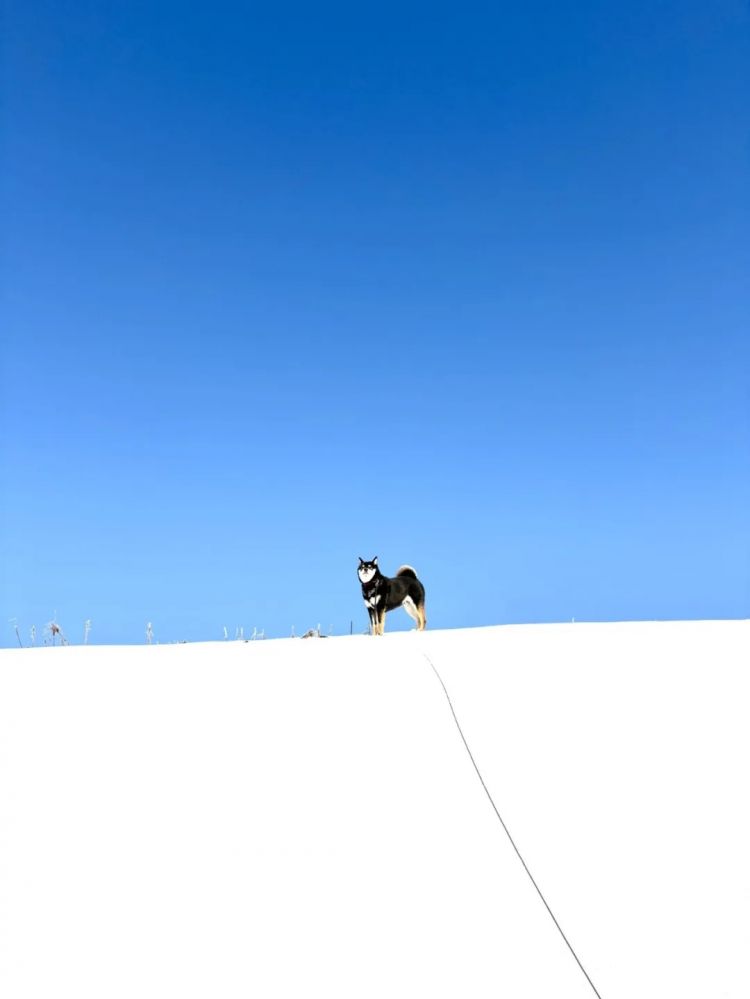 第279期:日本将征单身税?任天堂起诉特朗普?富士山再发登山事故;吴彦祖接替木村拓哉?| 百通板 第279期:日本将征单身税?任天堂起诉特朗普?富士山再发登山事故;吴彦祖接替木村拓哉?| 百通板