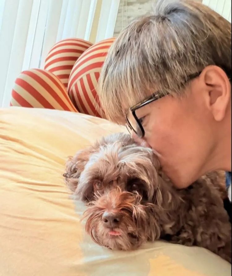 木村拓哉随手发了一张家里照片，网友却盯着豪宅看了半天！