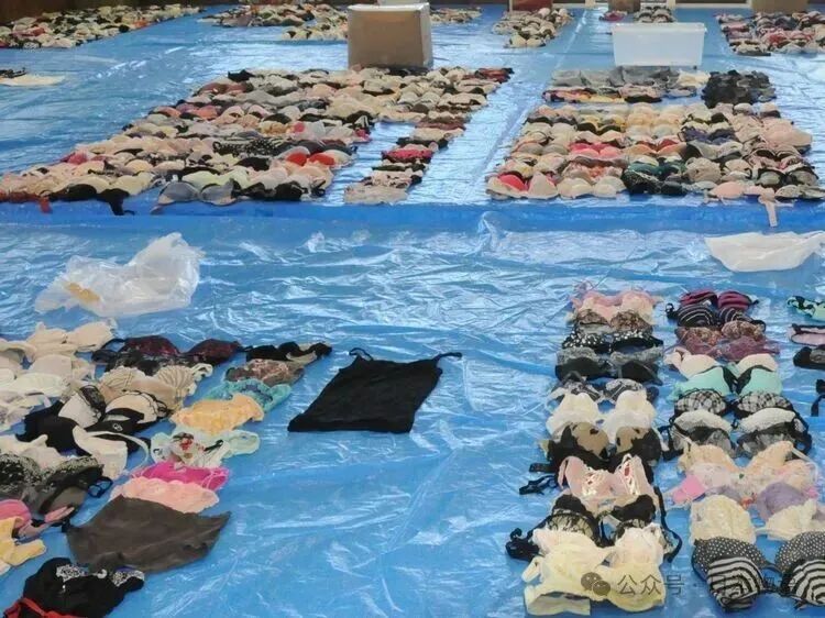 日本老龄化的一个离谱瞬间：长崎78岁男子偷80岁女性内裤被捕，警方还在查余罪