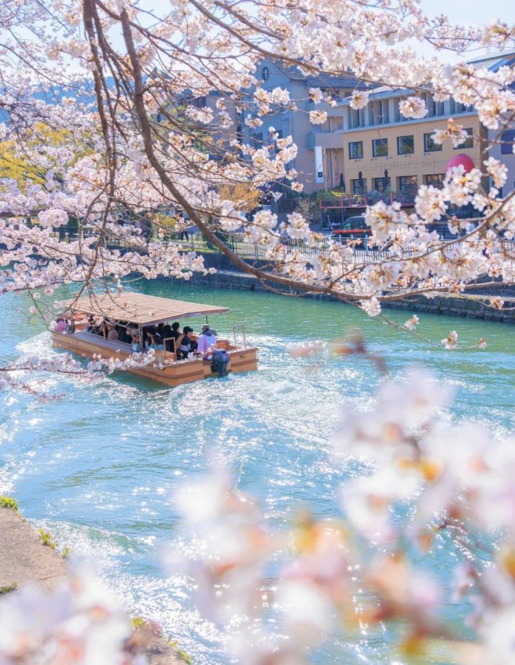 第280期:高市早苗否决女性天皇论?本田汽车估算巨额赤字?经典日剧《深夜食堂》将拍续集;第49届日本电影学院奖 | 百通板 第280期:高市早苗否决女性天皇论?本田汽车估算巨额赤字?经典日剧《深夜食堂》将拍续集;第49届日本电影学院奖 | 百通板