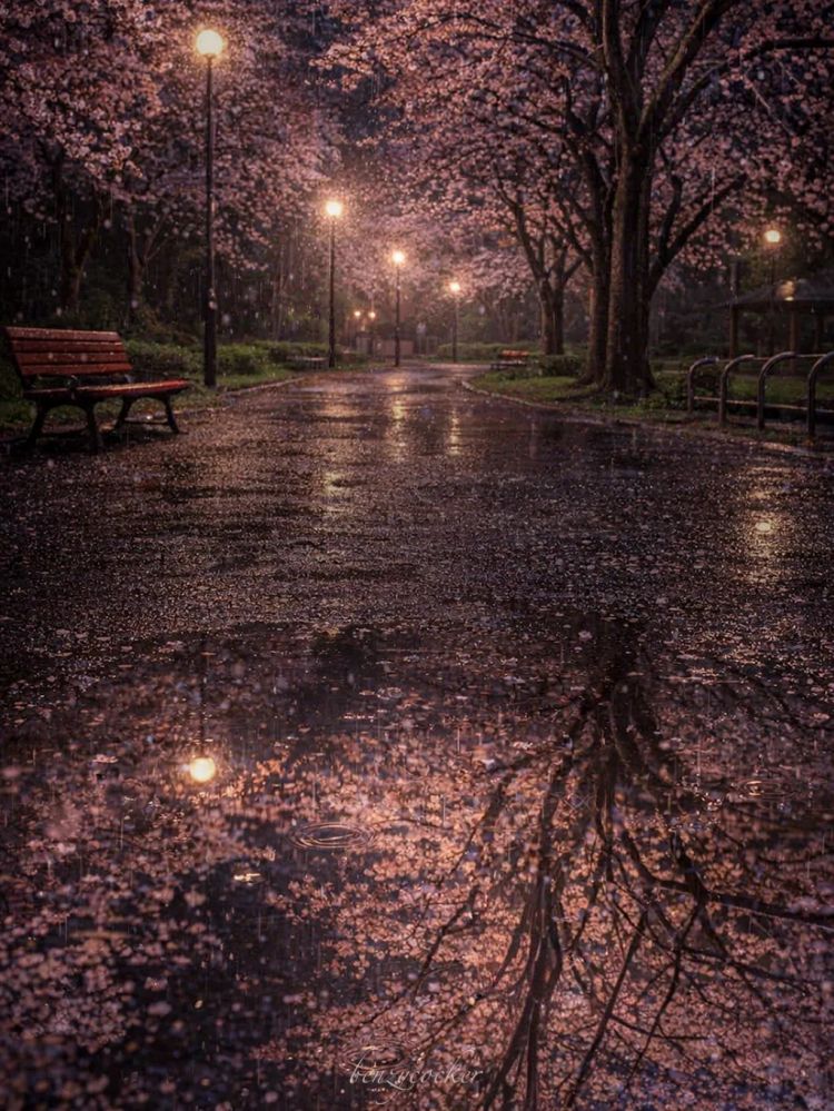 第280期:高市早苗否决女性天皇论?本田汽车估算巨额赤字?经典日剧《深夜食堂》将拍续集;第49届日本电影学院奖 | 百通板 第280期:高市早苗否决女性天皇论?本田汽车估算巨额赤字?经典日剧《深夜食堂》将拍续集;第49届日本电影学院奖 | 百通板