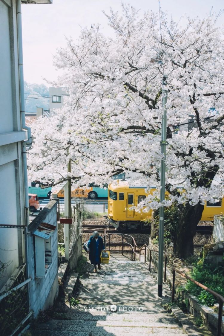 第281期：特朗普再提珍珠港？日本自卫队队员持刀闯入中国大使馆？拉布布X索尼将拍电影；索尼本田中止EV合作 | 百通板