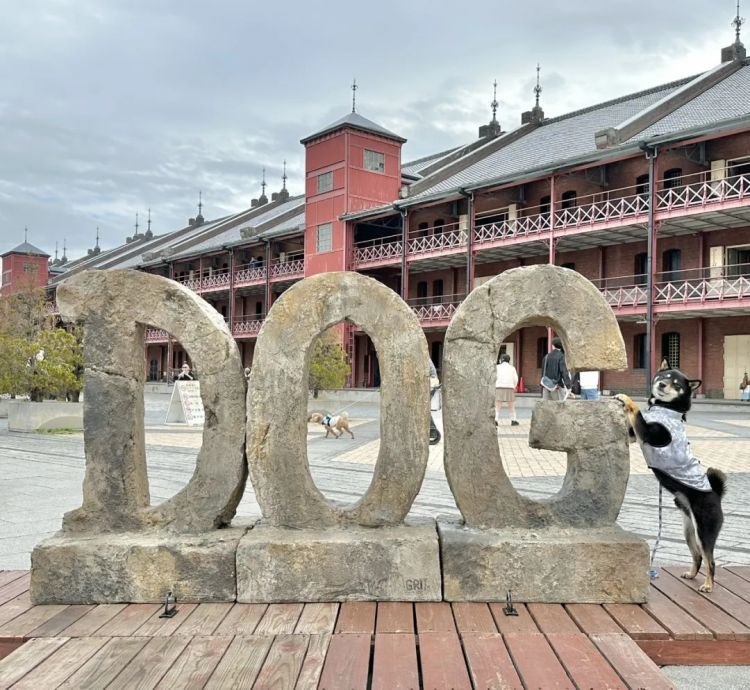 第281期：特朗普再提珍珠港？日本自卫队队员持刀闯入中国大使馆？拉布布X索尼将拍电影；索尼本田中止EV合作 | 百通板