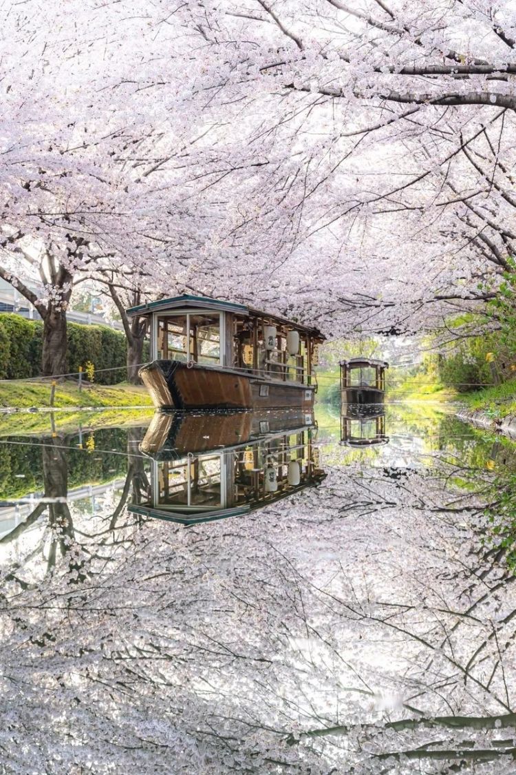 第281期：特朗普再提珍珠港？日本自卫队队员持刀闯入中国大使馆？拉布布X索尼将拍电影；索尼本田中止EV合作 | 百通板