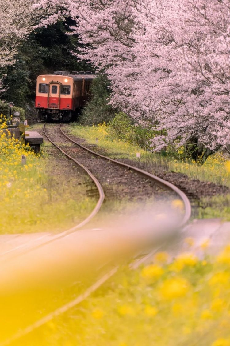 第282期：东京万人集会抗议高市早苗修宪？自卫队军官闯入中国大使馆；日本或于4月实现学校免费供餐？内田有纪X柏原崇秘密完婚？| 百通板