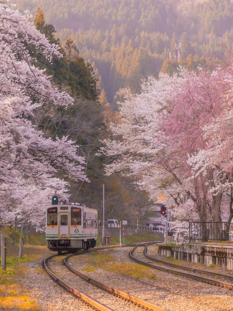 第282期：东京万人集会抗议高市早苗修宪？自卫队军官闯入中国大使馆；日本或于4月实现学校免费供餐？内田有纪X柏原崇秘密完婚？| 百通板