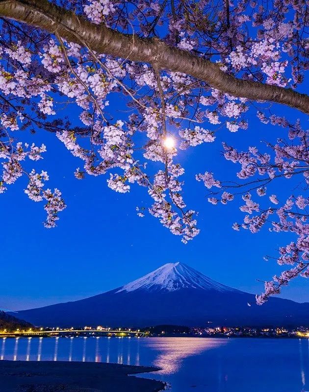 第283期:高市早苗公布个人资产?日本中学制服价格飙升 或统一制服?绫濑遥写3万封情书?| 百通板 第283期:高市早苗公布个人资产?日本中学制服价格飙升 或统一制服?绫濑遥写3万封情书?| 百通板