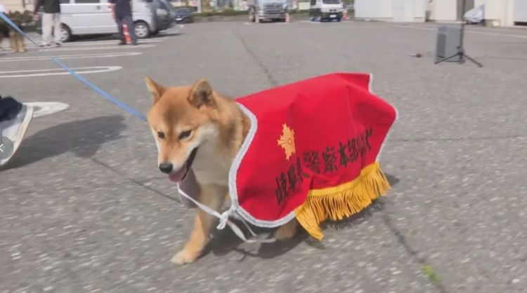 第283期:高市早苗公布个人资产?日本中学制服价格飙升 或统一制服?绫濑遥写3万封情书?| 百通板 第283期:高市早苗公布个人资产?日本中学制服价格飙升 或统一制服?绫濑遥写3万封情书?| 百通板