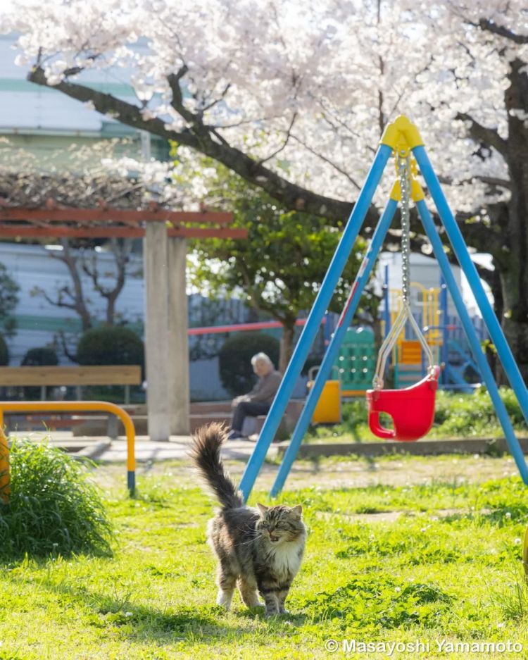 第283期:高市早苗公布个人资产?日本中学制服价格飙升 或统一制服?绫濑遥写3万封情书?| 百通板 第283期:高市早苗公布个人资产?日本中学制服价格飙升 或统一制服?绫濑遥写3万封情书?| 百通板