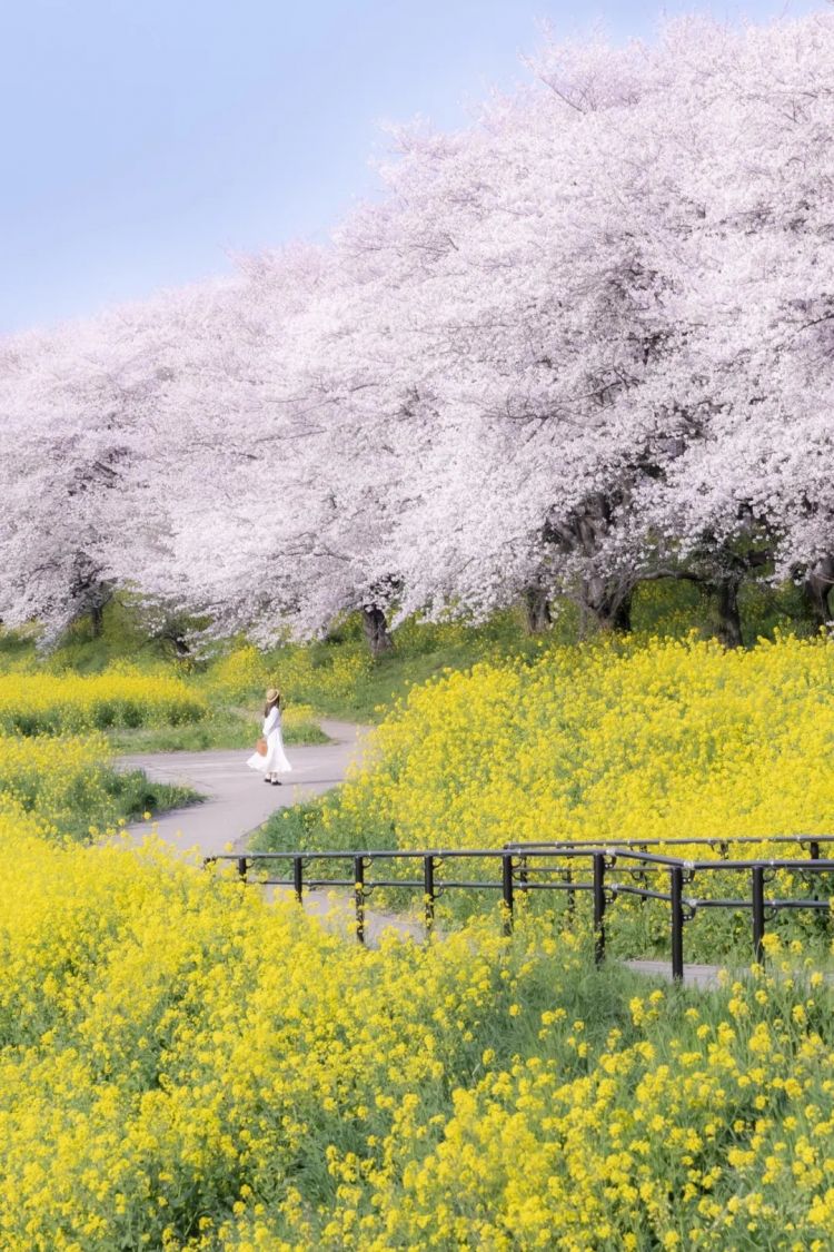 第283期:高市早苗公布个人资产?日本中学制服价格飙升 或统一制服?绫濑遥写3万封情书?| 百通板 第283期:高市早苗公布个人资产?日本中学制服价格飙升 或统一制服?绫濑遥写3万封情书?| 百通板