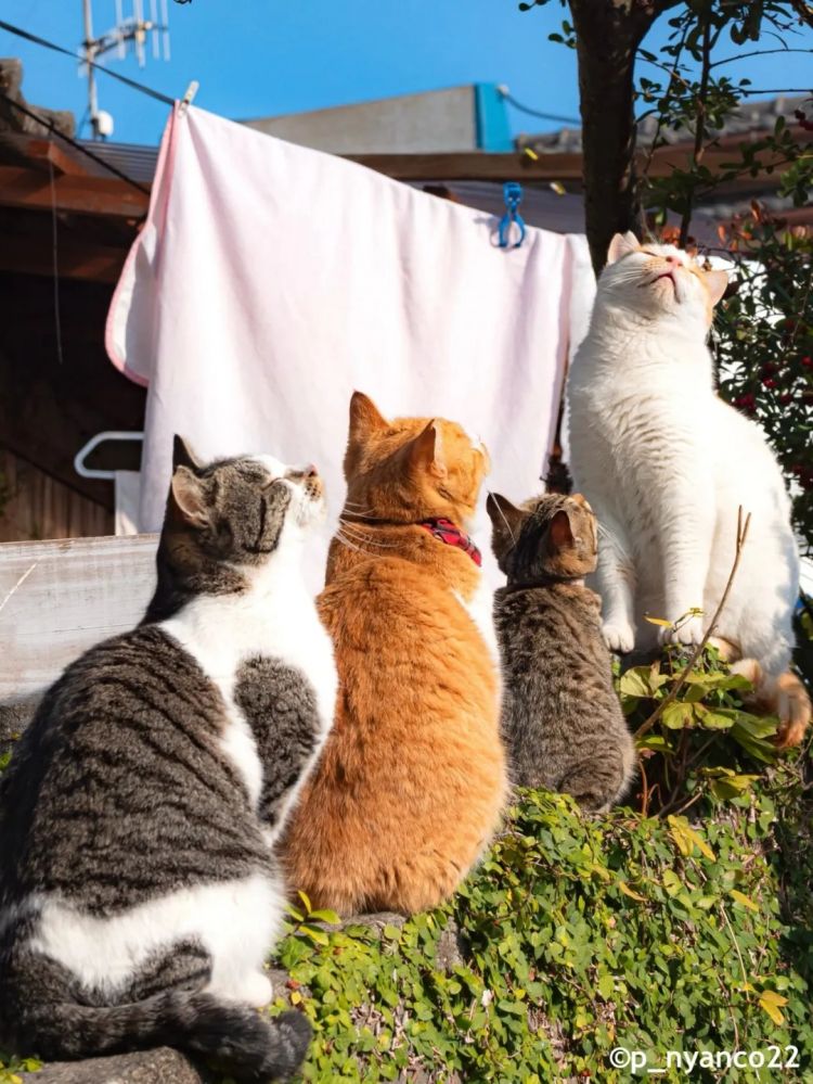 第283期:高市早苗公布个人资产?日本中学制服价格飙升 或统一制服?绫濑遥写3万封情书?| 百通板 第283期:高市早苗公布个人资产?日本中学制服价格飙升 或统一制服?绫濑遥写3万封情书?| 百通板