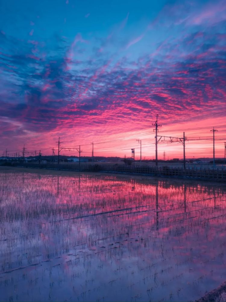 第285期：高市早苗入选时代百大人物 但支持率再创新低？日本大幅放宽武器出口限制？网飞将拍高达真人版 | 百通板