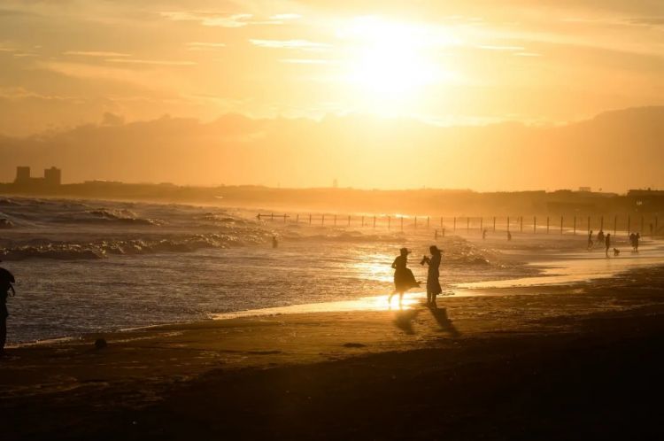 第285期：高市早苗入选时代百大人物 但支持率再创新低？日本大幅放宽武器出口限制？网飞将拍高达真人版 | 百通板