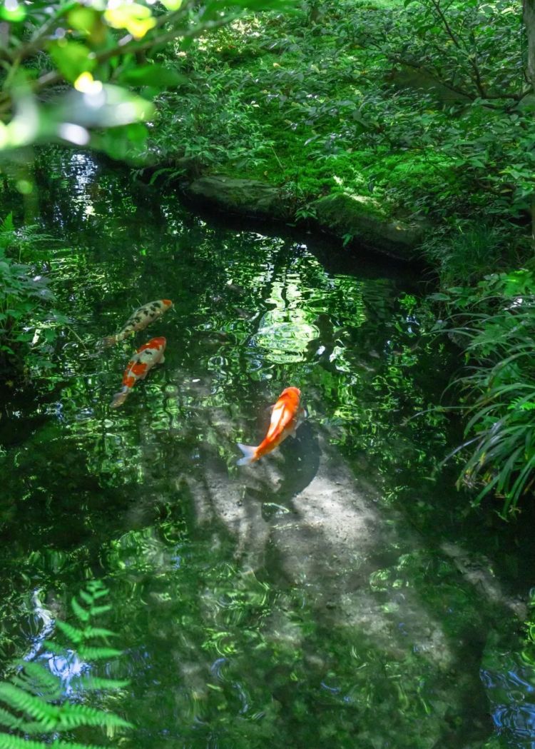 第285期：高市早苗入选时代百大人物 但支持率再创新低？日本大幅放宽武器出口限制？网飞将拍高达真人版 | 百通板