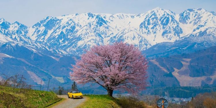 第285期：高市早苗入选时代百大人物 但支持率再创新低？日本大幅放宽武器出口限制？网飞将拍高达真人版 | 百通板