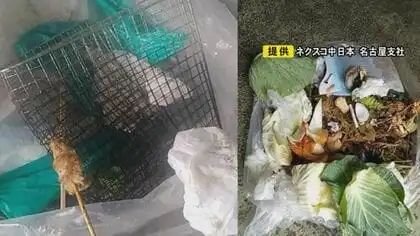听说日本今年黄金周12连休？谁说的！