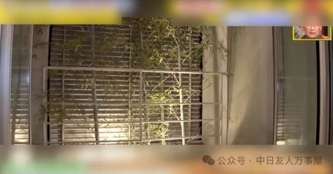 日本一女子为“复仇渣男”盖豪宅”，结局却出现意外反转，引发全网震惊
