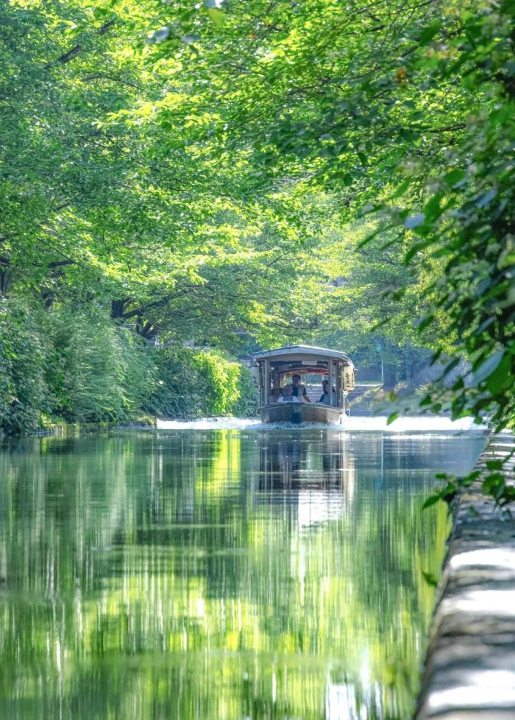 第287期：北海道动物园焚烧炉内现人体组织？板野友美退社；田中圭出轨淡圈成赌圣？大冢爱打造高中生组合 | 百通板