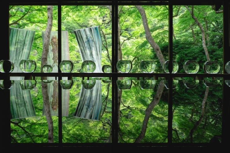 第287期：北海道动物园焚烧炉内现人体组织？板野友美退社；田中圭出轨淡圈成赌圣？大冢爱打造高中生组合 | 百通板
