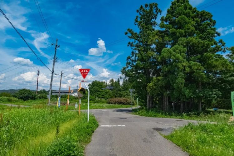 第287期：北海道动物园焚烧炉内现人体组织？板野友美退社；田中圭出轨淡圈成赌圣？大冢爱打造高中生组合 | 百通板