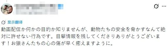 两名美国人头戴表情包闯日本动物园猴山,疑似宣传虚拟货币?日网:猴子都比他们有人性! 两名美国人头戴表情包闯日本动物园猴山,疑似宣传虚拟货币?日网:猴子都比他们有人性!