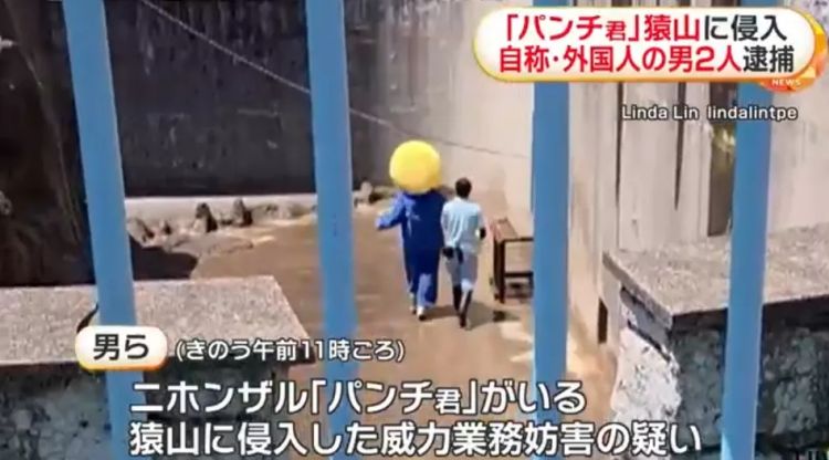 两名美国人头戴表情包闯日本动物园猴山,疑似宣传虚拟货币?日网:猴子都比他们有人性! 两名美国人头戴表情包闯日本动物园猴山,疑似宣传虚拟货币?日网:猴子都比他们有人性!