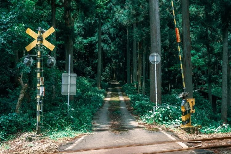 第289期：高市早苗秘书通信记录曝光？日本强制职场压力检查？东京大学遭爆炸威胁？9岁天才童星自编自导自演电影 | 百通板