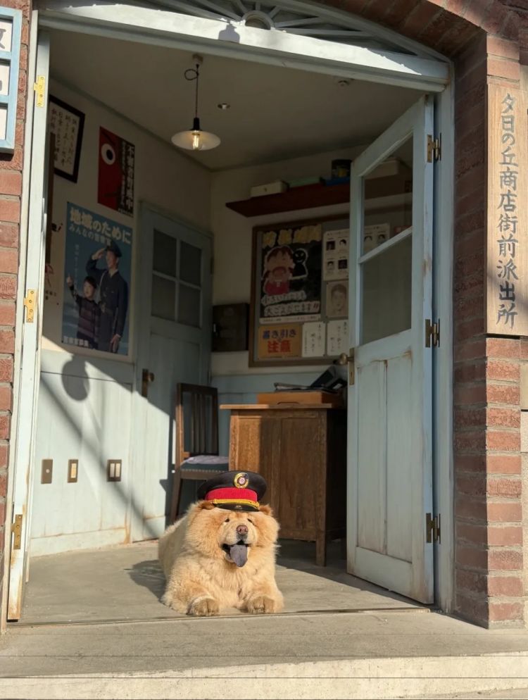第289期：高市早苗秘书通信记录曝光？日本强制职场压力检查？东京大学遭爆炸威胁？9岁天才童星自编自导自演电影 | 百通板