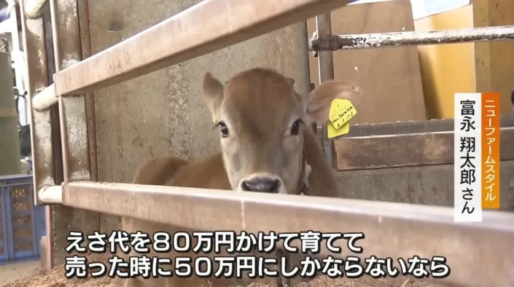 东京牛郎回家再次摇身变“牛郎”!但这次大家心甘情愿为他掏钱,并直呼:这“牛郎”太帅了! 东京牛郎回家再次摇身变“牛郎”!但这次大家心甘情愿为他掏钱,并直呼:这“牛郎”太帅了!