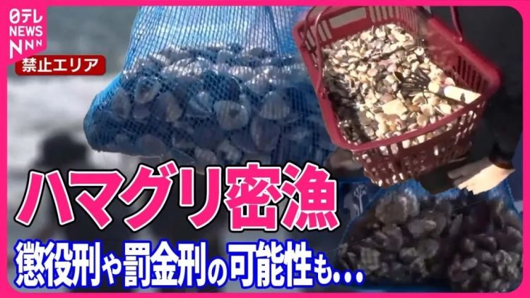 日本网友破防了！中国女子在海滩徒手偷挖3公斤蛤蜊，当场被抓认罪