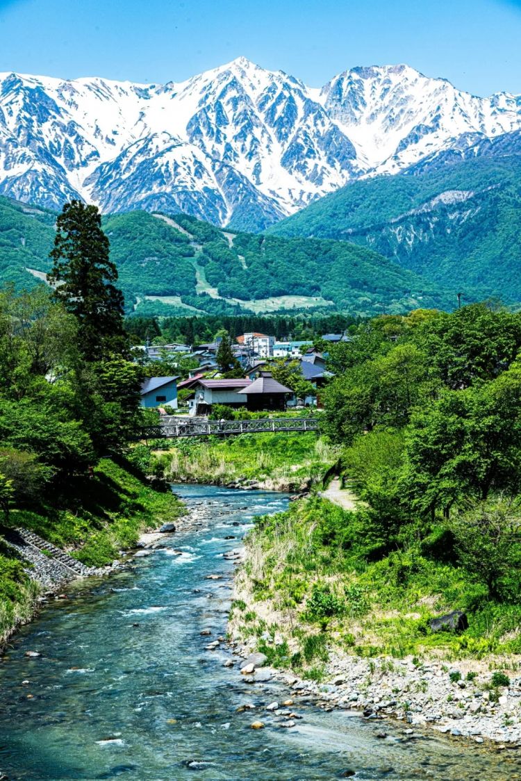 第290期:高市早苗支持率连降三月 抹黑门再添新锤?日本应届生就业率98%?首位日本戛纳影后诞生 | 百通板 第290期:高市早苗支持率连降三月 抹黑门再添新锤?日本应届生就业率98%?首位日本戛纳影后诞生 | 百通板