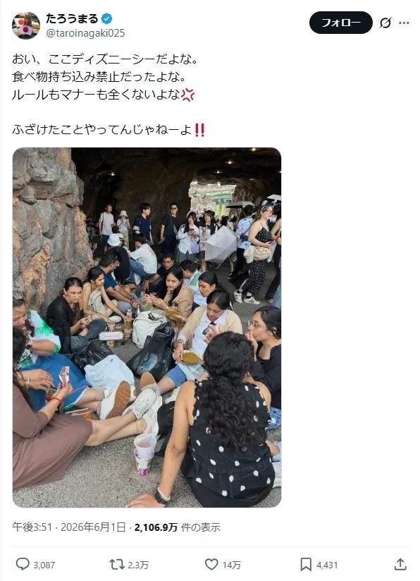 外国游客在东京迪士尼“野餐”，日本网友集体破防狂骂！