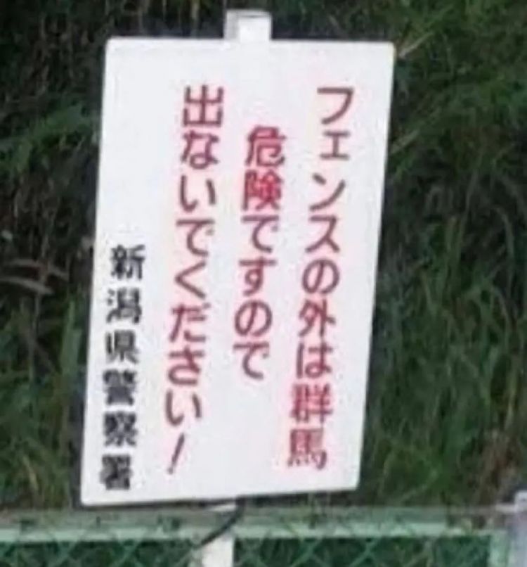 日本网友又在瞎说什么大实话？第60回