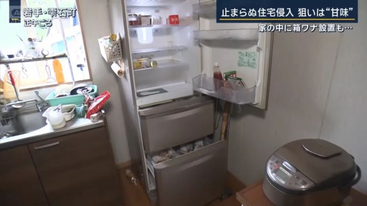 野猪街头打擂台,黑熊纵享“霸王餐”……日本迎来野生动物暑期“City Walk” 野猪街头打擂台,黑熊纵享“霸王餐”……日本迎来野生动物暑期“City Walk”