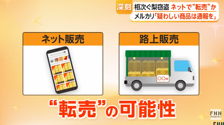 日本果园5000颗梨一夜被偷光,却有人转头在二手平台卖?!果农大哭:我不干了! 日本果园5000颗梨一夜被偷光,却有人转头在二手平台卖?!果农大哭:我不干了!