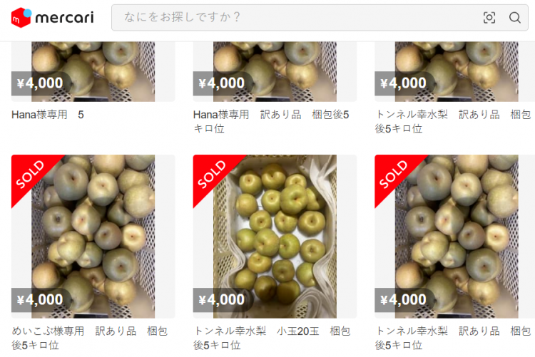日本果园5000颗梨一夜被偷光,却有人转头在二手平台卖?!果农大哭:我不干了! 日本果园5000颗梨一夜被偷光,却有人转头在二手平台卖?!果农大哭:我不干了!