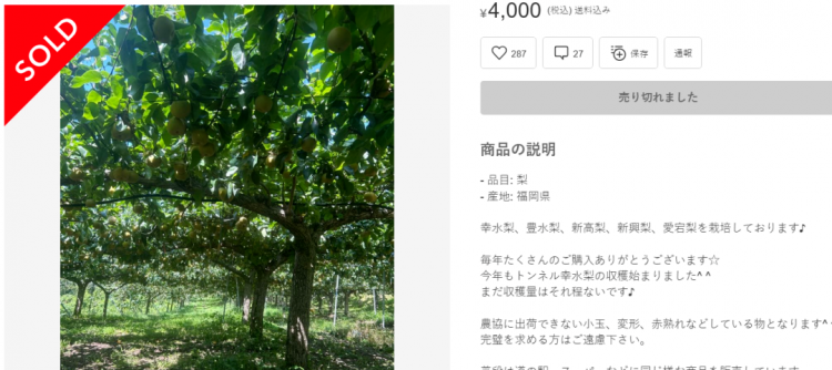 日本果园5000颗梨一夜被偷光,却有人转头在二手平台卖?!果农大哭:我不干了! 日本果园5000颗梨一夜被偷光,却有人转头在二手平台卖?!果农大哭:我不干了!