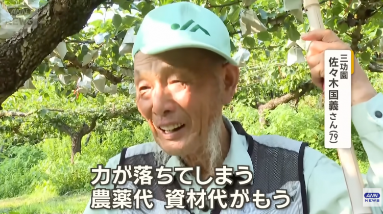 日本果园5000颗梨一夜被偷光,却有人转头在二手平台卖?!果农大哭:我不干了! 日本果园5000颗梨一夜被偷光,却有人转头在二手平台卖?!果农大哭:我不干了!