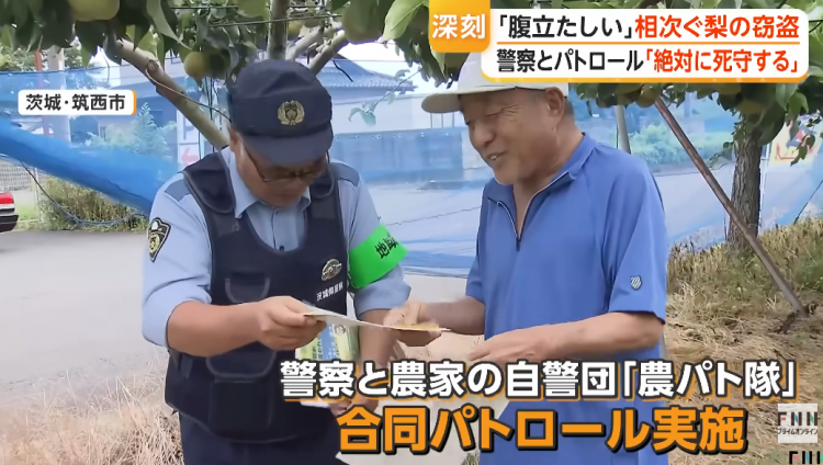 日本果园5000颗梨一夜被偷光,却有人转头在二手平台卖?!果农大哭:我不干了! 日本果园5000颗梨一夜被偷光,却有人转头在二手平台卖?!果农大哭:我不干了!