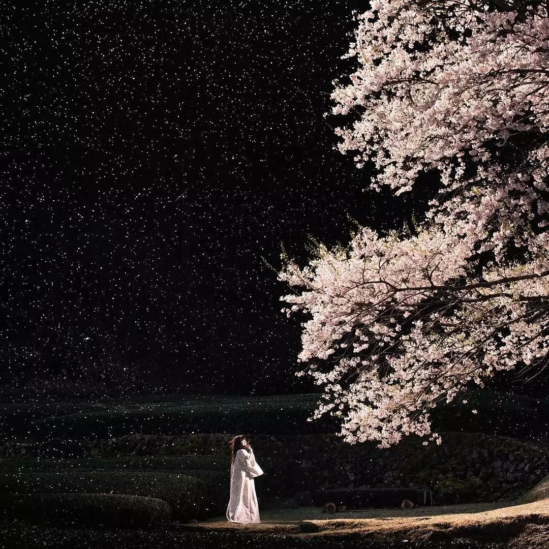 日本摄影师花九年时间为妻子拍摄大片，这是什么神仙爱情啊！