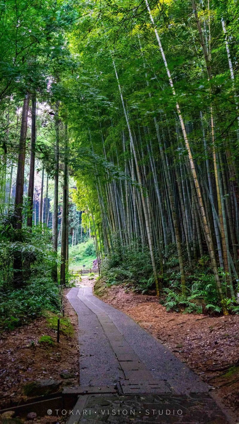 日本游记︱风风火火闯九州！带你一次逛遍日本九州七县 ~