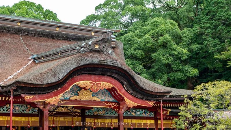 日本游记︱风风火火闯九州！带你一次逛遍日本九州七县 ~