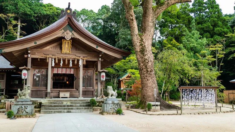 日本游记︱风风火火闯九州！带你一次逛遍日本九州七县 ~