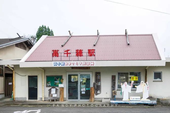 达人游记︱自然、美食与慢生活，九州南部的休闲之旅