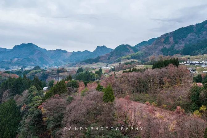 达人游记︱自然、美食与慢生活，九州南部的休闲之旅