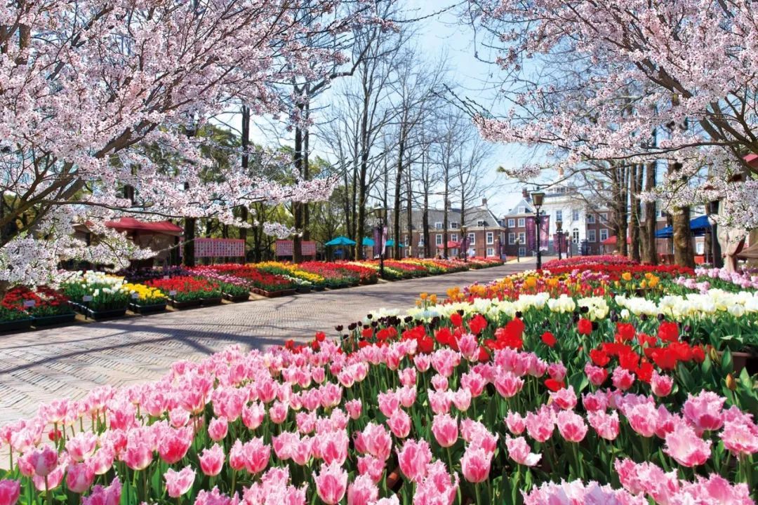 日本九州的这座宝藏旅游胜地,究竟有什么好玩的?