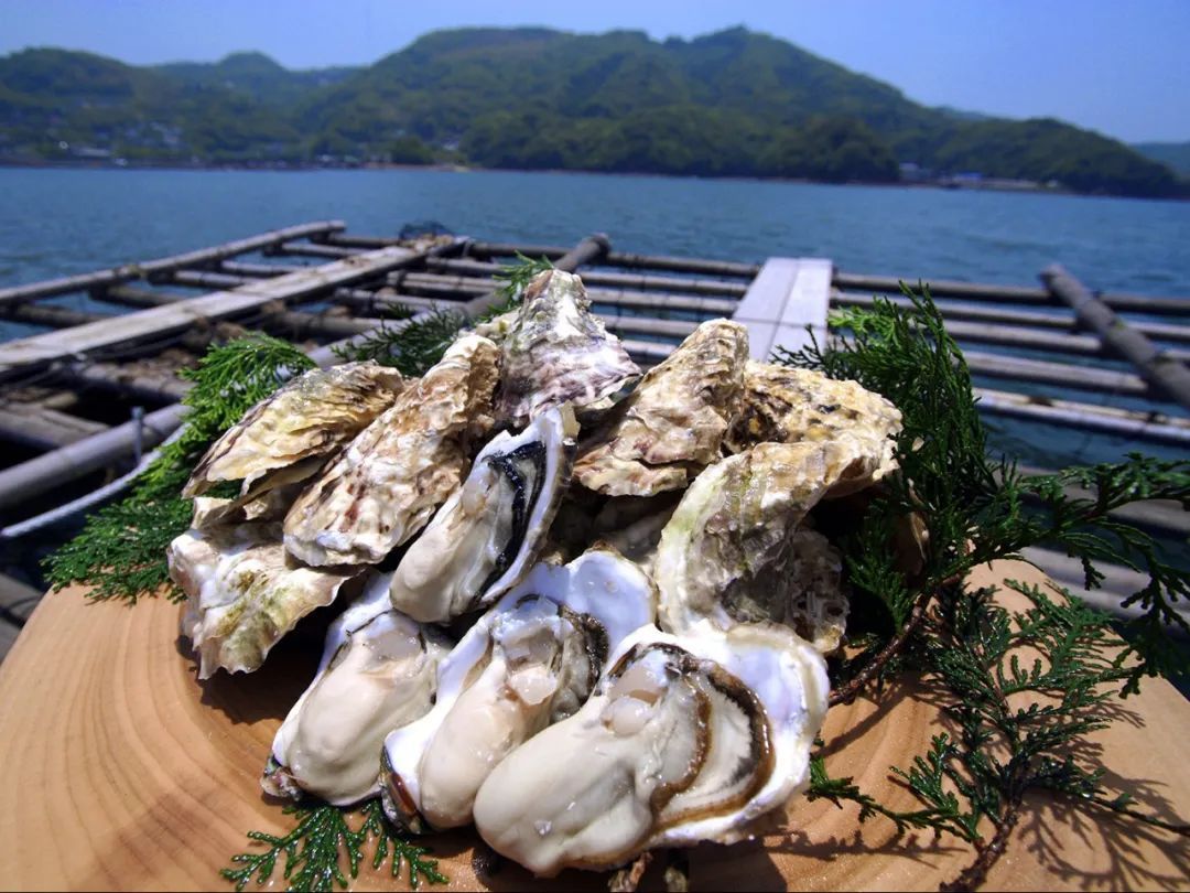 日本九州的这座宝藏旅游胜地,究竟有什么好玩的?