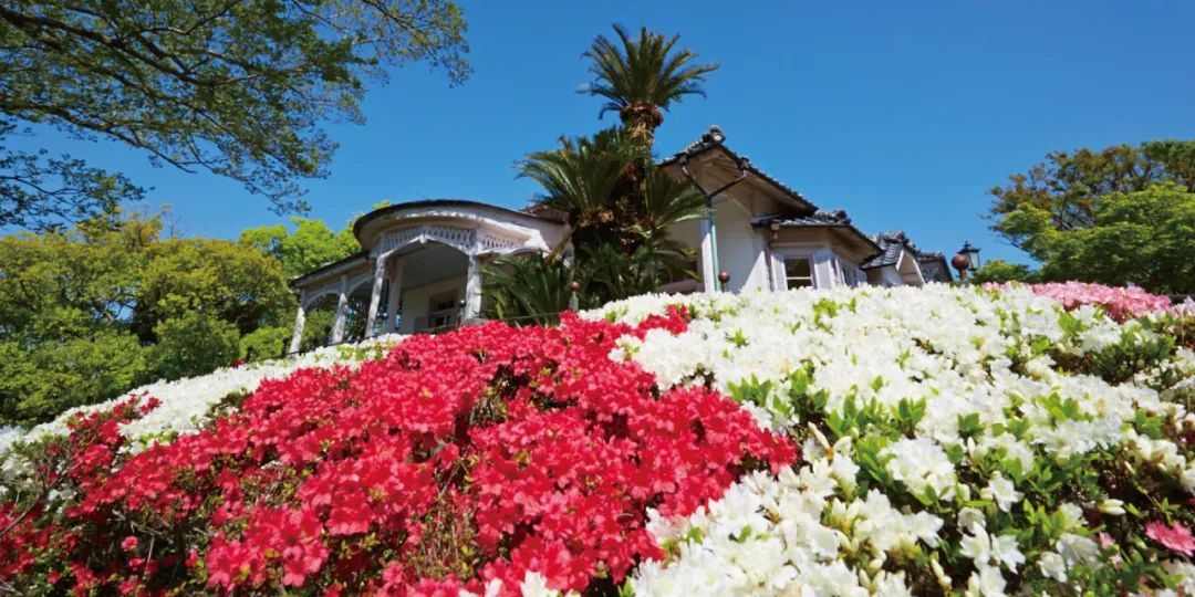 日本九州的这座宝藏旅游胜地,究竟有什么好玩的?